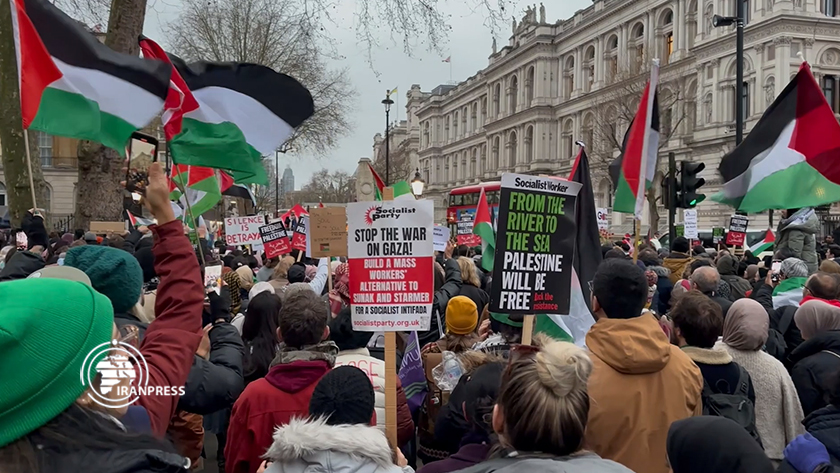  British physicians, health workers stage protest to support Palestinian nation