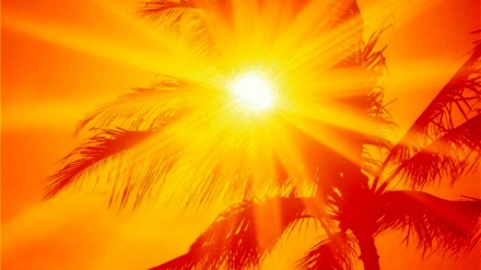 2023年の世界平均気温が観測史上最高に