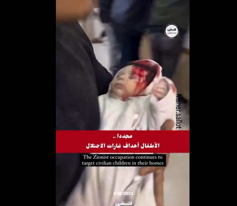 Video: Zionist Occupation objectives in Gaza 