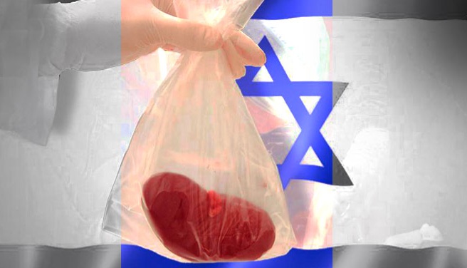  European Monitor: Israelis stealing body Organs of Palestinians killed in war - Report