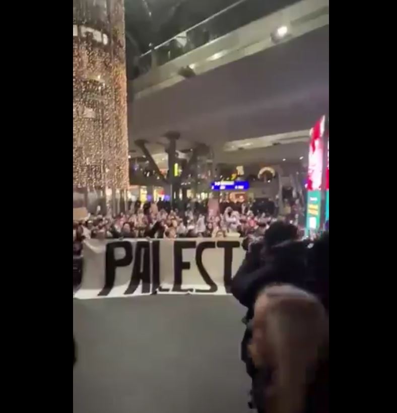 Video: Pro-Palestine advocates occupied Berlin central train station