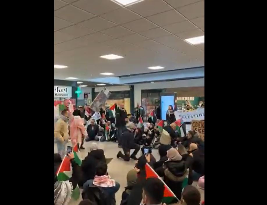 Video: Sit-in protest in solidarity with Palestine in Train Station of Odense, Denmark