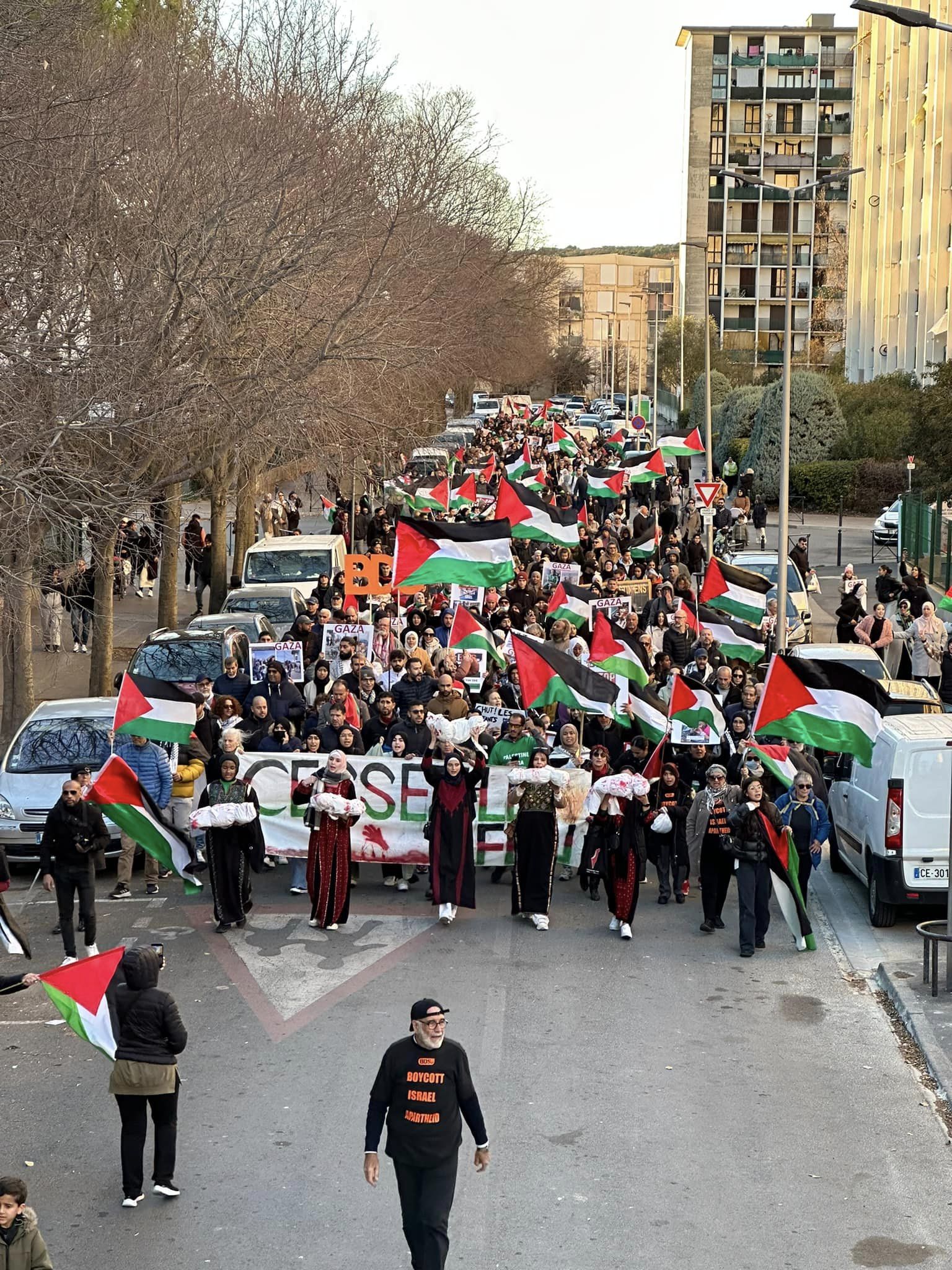 Video: Massive protest in Montpellier, France in solidarity with Palestine, against Israeli genocide in Gaza