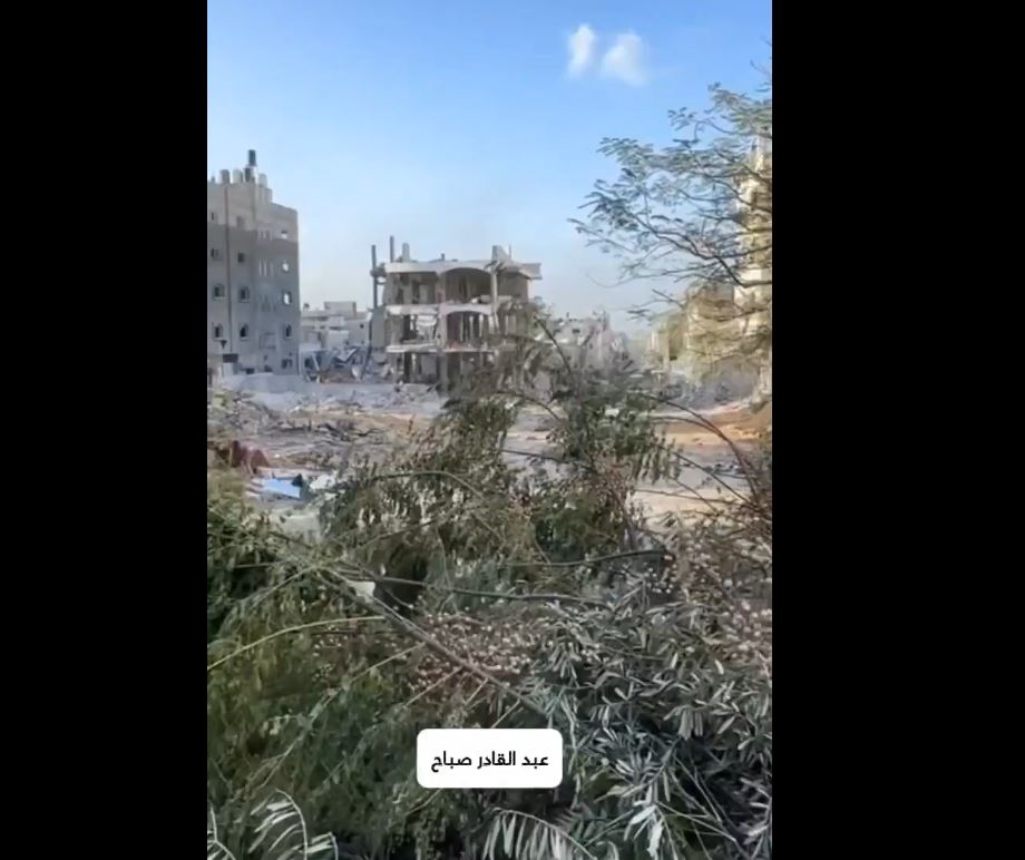 Scenes of War crimes left behind by Israeli army in Tal-Al-Zaatar area, Northern Gaza 