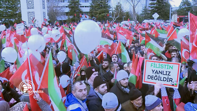 Pro-Palestinian rally held in Turkey