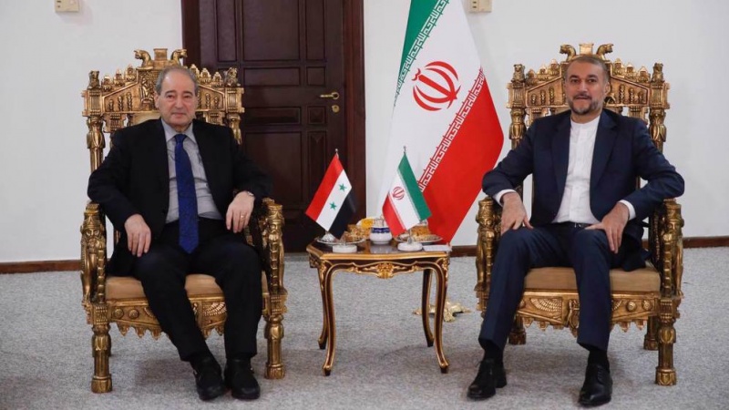 Iran und Syrien fordern Ende des israelischen Völkermords in Gaza