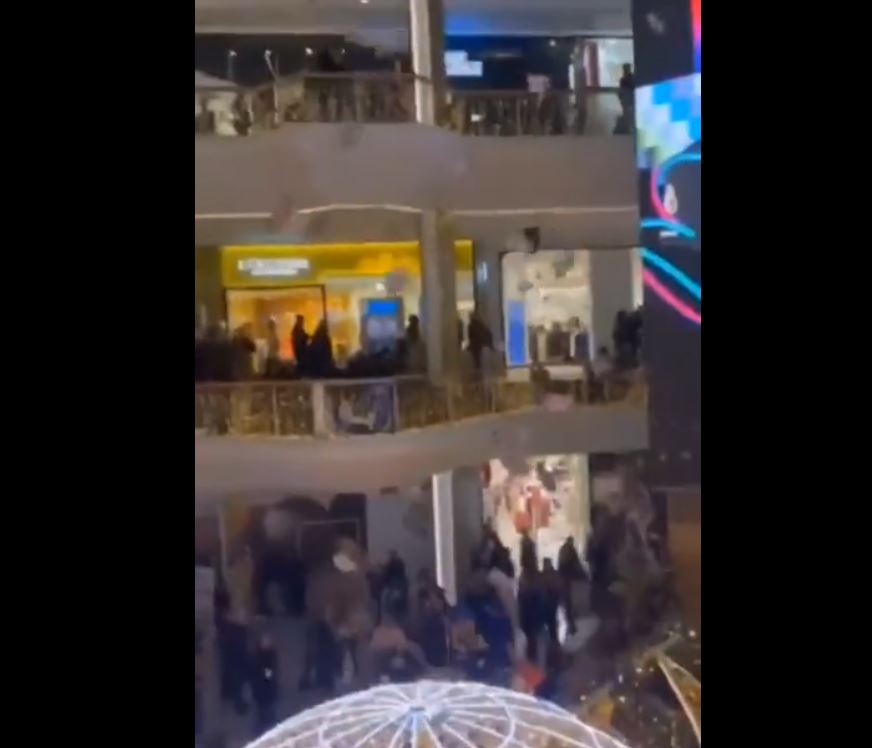 Video: Solidarity with Palestine in largest shopping center of Lyon, France
