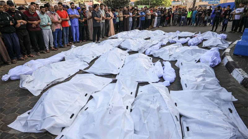ハマス「イスラエルがガザ殉教者の遺体から臓器を略奪」