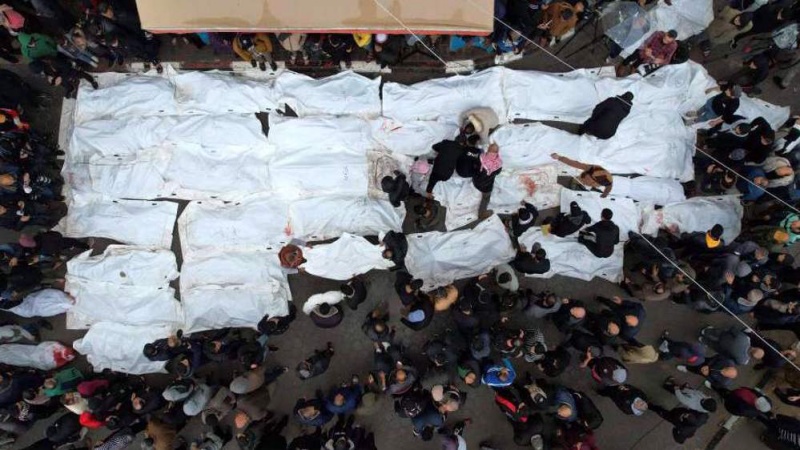  OIC slams Israeli crimes against Palestinians, urges end to Gaza war
