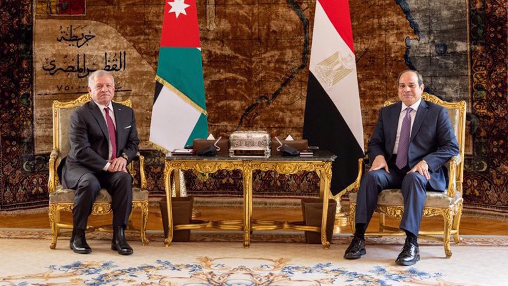 Jordan’s King, Egypt’s President reject any Israeli move to expel Palestinians from Gaza, West Bank