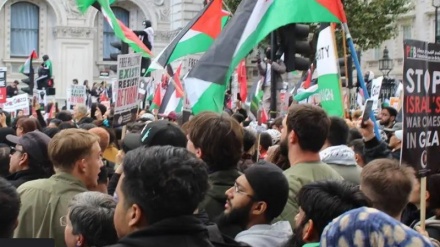 Pendukung Palestina Gelar Aksi Protes di New York​