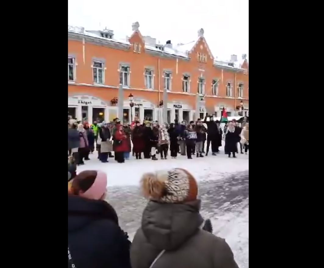 Video: People in Finland organized a protest in Turku in support of Gaza