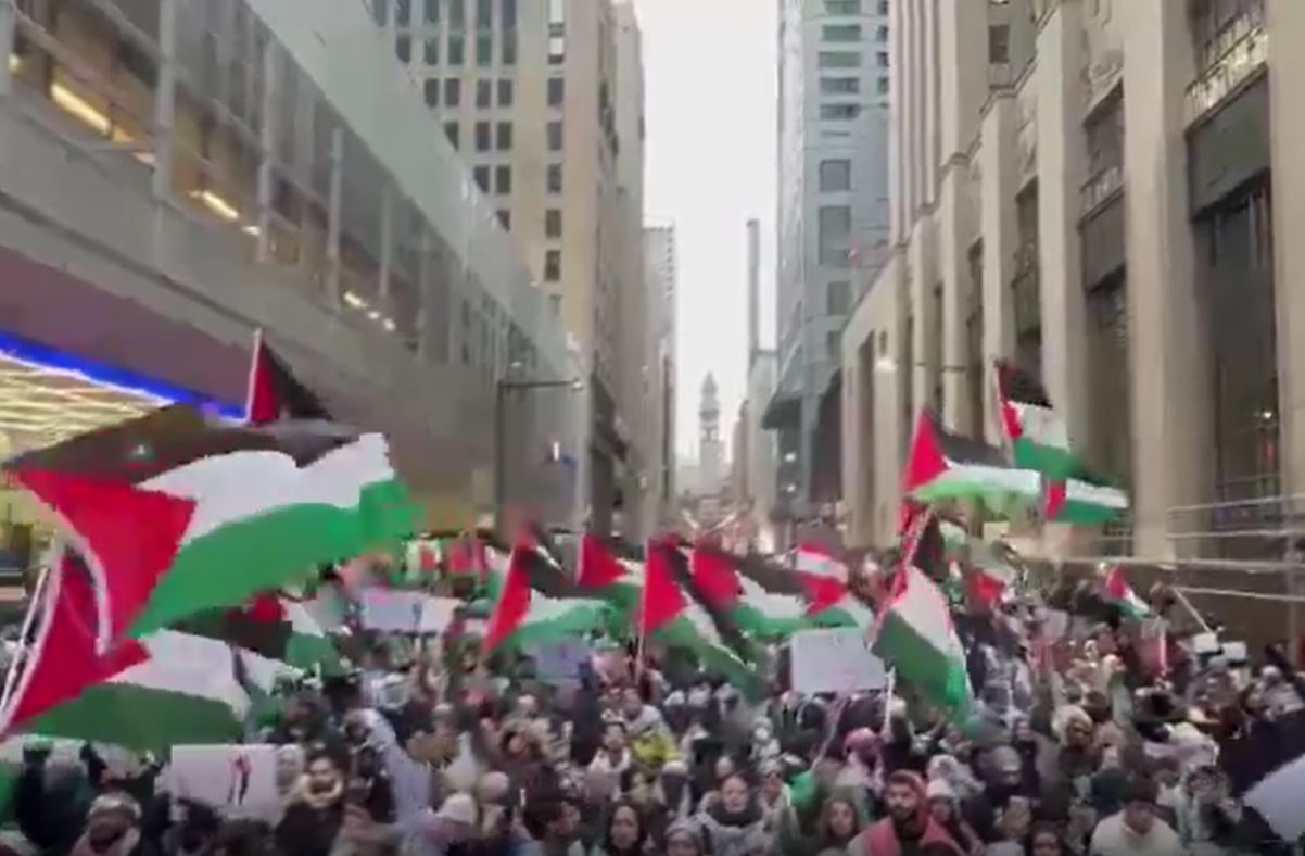 Video: Massive rally in solidarity with Palestine in Toronto, Canada