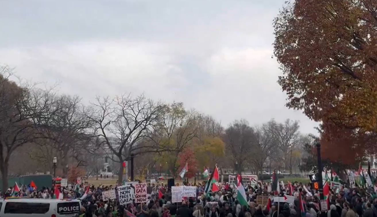 Video: Protests in Washington DC in solidarity with Palestinian cause