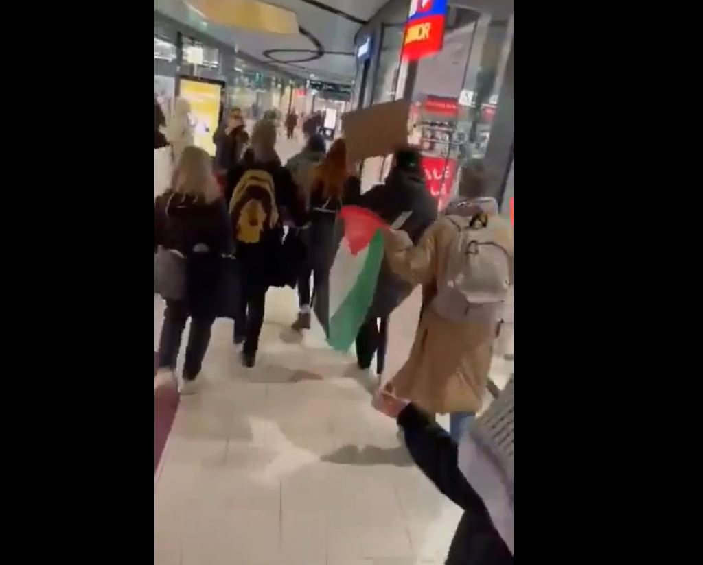 Video: Protest in Helsinki, Finland to encourage boycotting products of Israel in commercial complexes