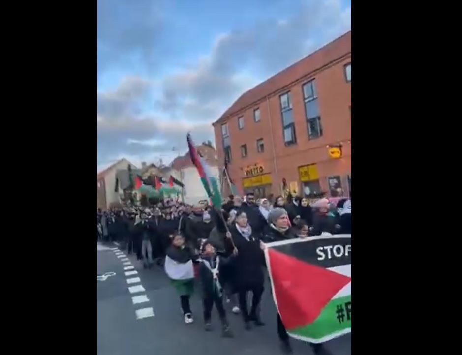 Video: Solidarity demonstration with Palestine in Odense, Denmark