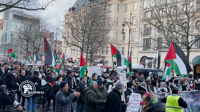 Pro-Palestinian rallies in Berlin enter 12th week