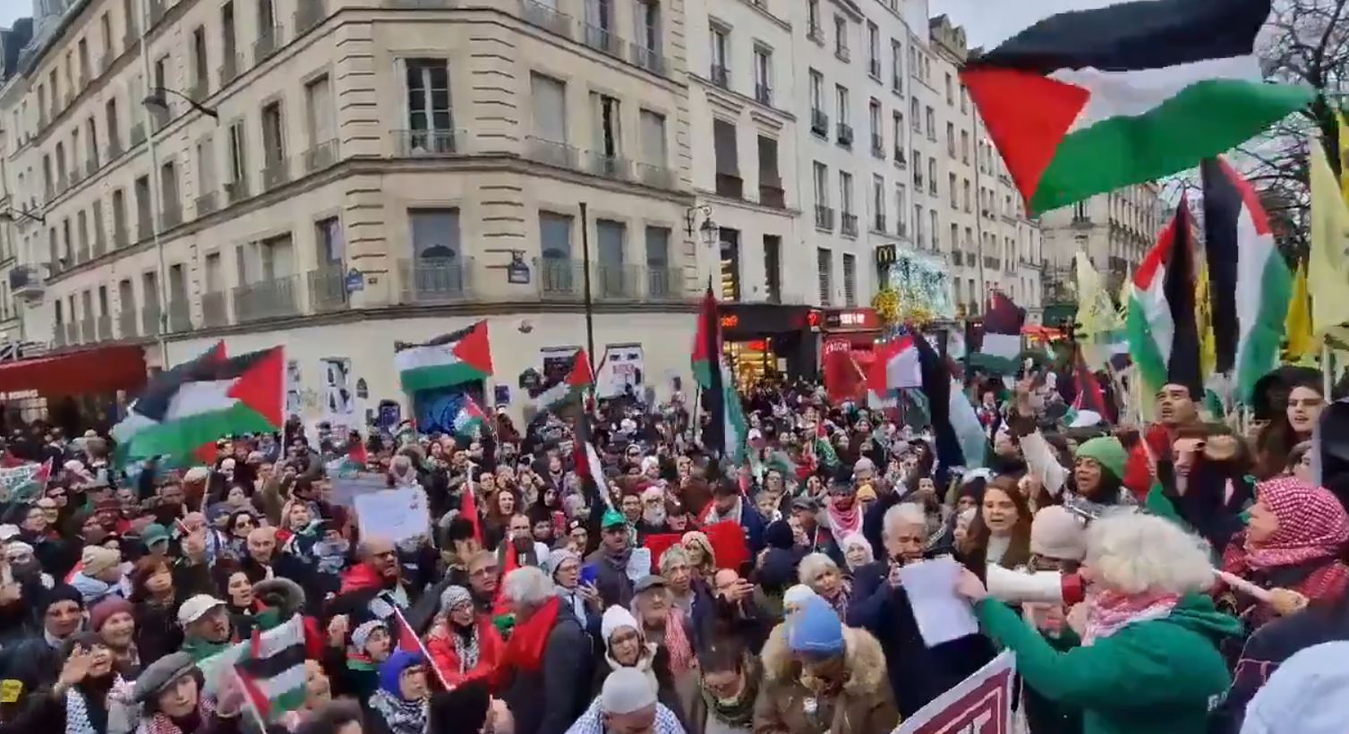 Video: Thousands rally in Paris, France demanding end to Gaza war and immediate ceasefire 