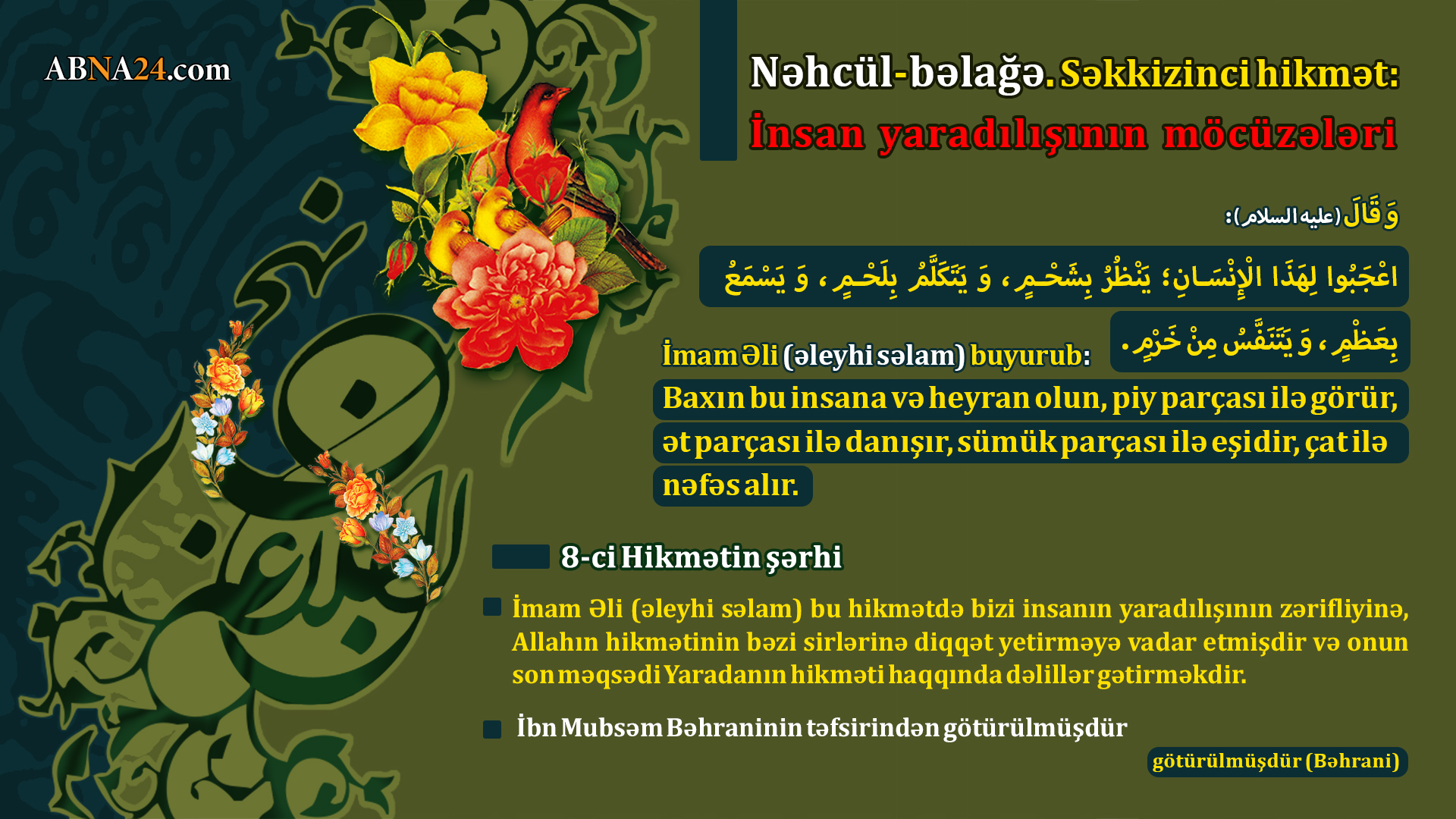 Нәһҹүл-Бәлағә, сәккизинҹи һикмәт: Инсан јарадылышынын мөҹүзәләри \ Инфографика