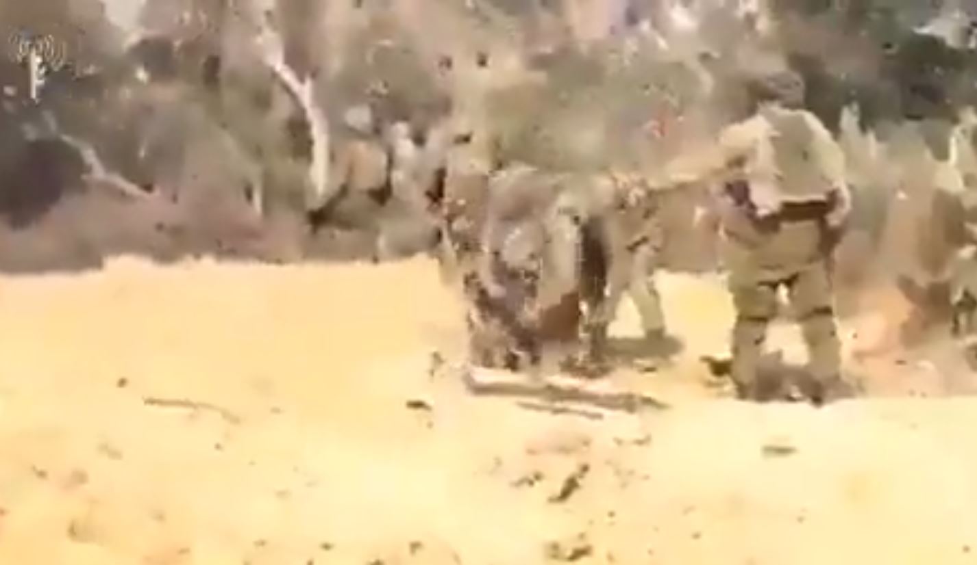 Video: Al-Qassam forces planted an explosive device at  a tunnel, which killed several Zionist enemies