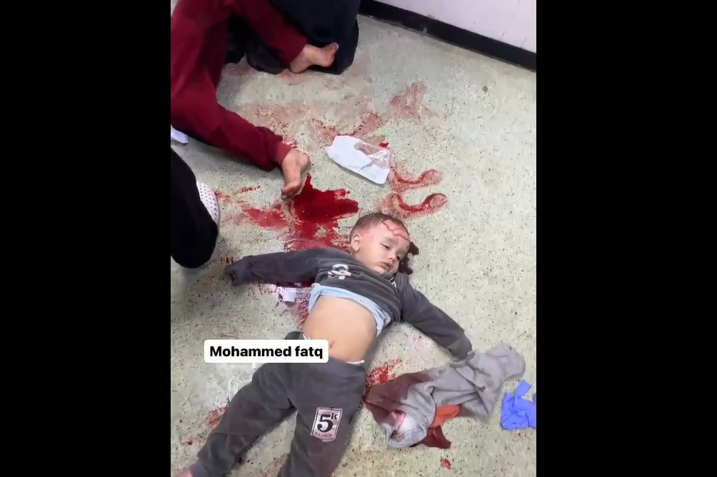 فيديو | قبل قليل.. استشهاد وإصابة أطفال بقصف صهيوني استهدف مدرسة تؤوي نازحين