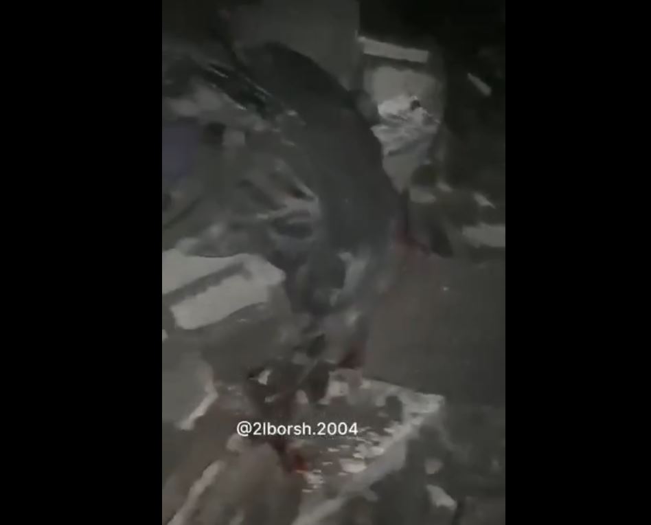 GRAPHIC: Recovering killed bodies, including a newborn baby girl; after Zionist bombing in Jabalia, Gaza