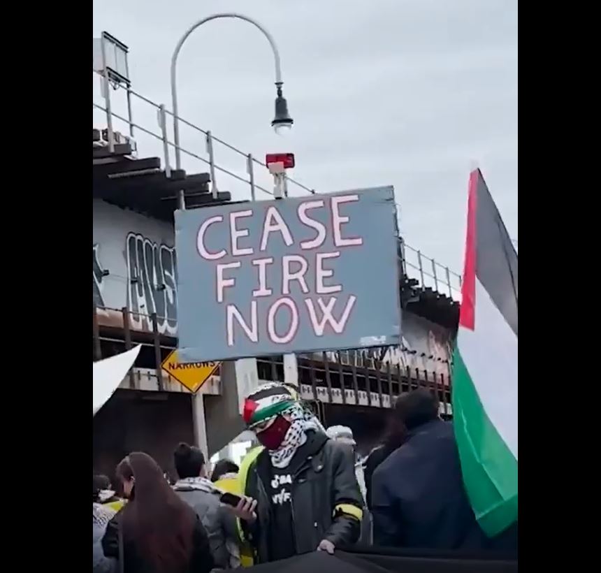 Video: Massive march in New York against Israeli war crimes in Gaza