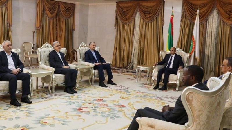 Emir Abdullahiyan'ın Moritanya Cumhurbaşkanı ile görüşmesi