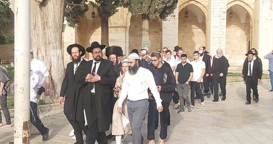 Over 100 extremist Jewish settlers defile Aqsa Mosque