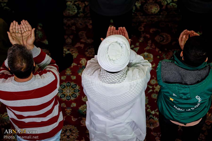 Фоторепортаж/Совершение коллективного намаза в Храме Имама Али (мир ему)