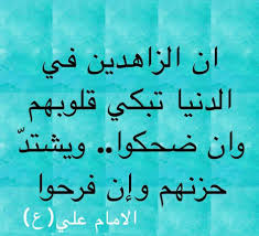 صفات الزاهدين في كلام أمير المؤمنين(ع)