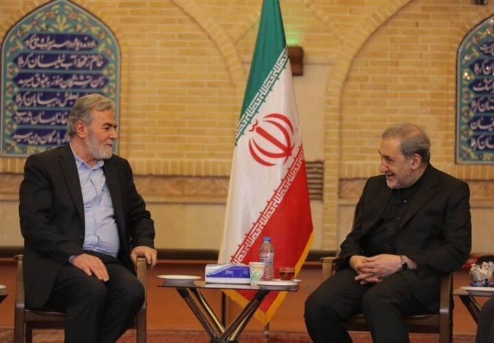 Iran to continue to support Palestinian nation, Resistance: Leader advisor