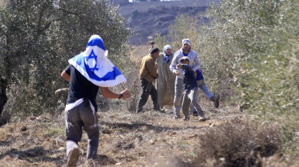 Extremist Israeli settlers attack Palestinian homes, uproot 80 trees in West Bank
