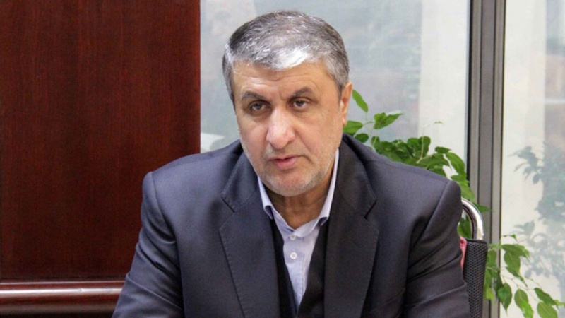 Критика Ислами в адрес гендиректора МАГАТЭ