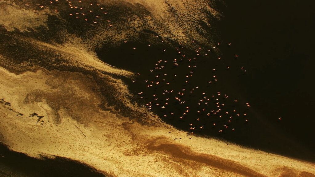 Video:  "God's Presence" in the words of Imam Ali (pbuh)