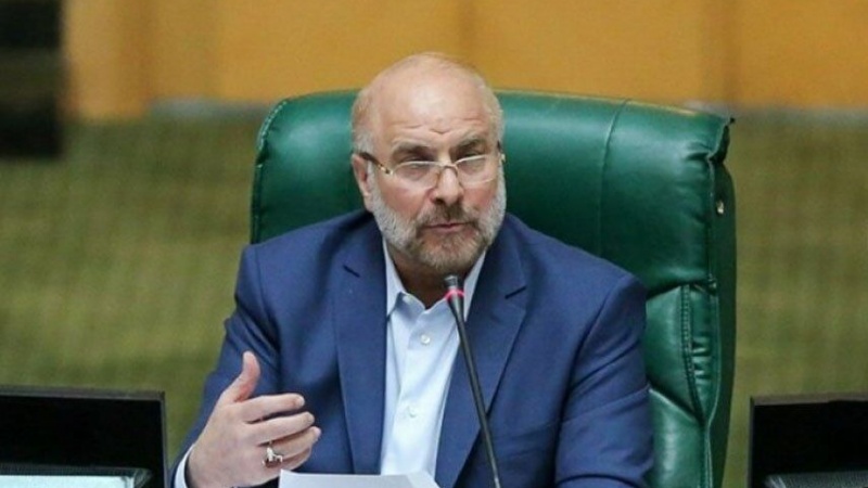 Калибаф: Верховный лидер сорвал планы врагов, объявив амнистию