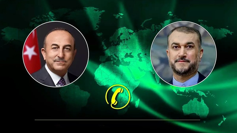 Таъкиди Амирабдуллоҳиён бар омодагии Ҳилоли Аҳмари Эрон барои кумак ба зилзилазадагони Туркия