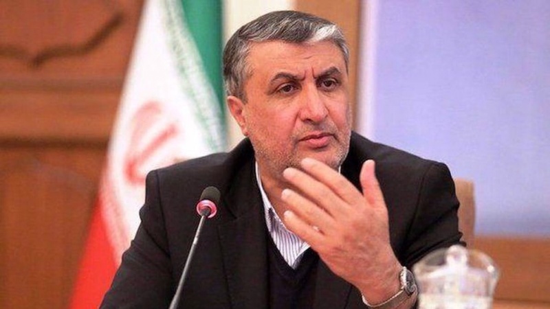 Iran: IAEA-Chef sollte nicht zur Anti-Teheran-Druckkampagne beitragen