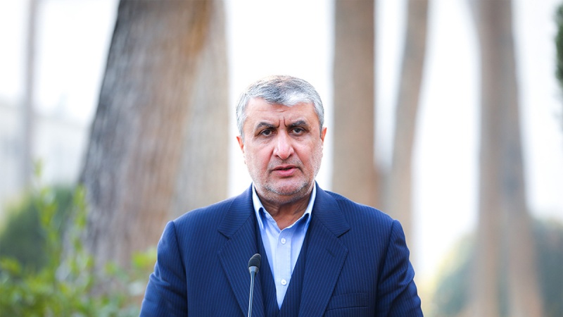 イラン原子力長官「イランの核兵器獲得はデマ」