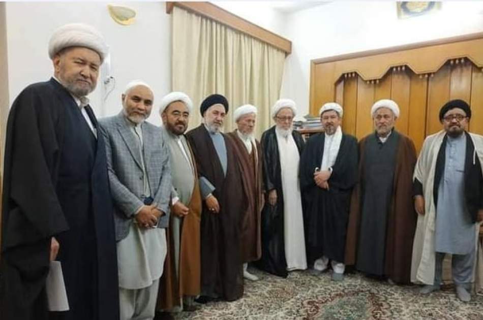 آیت الله فیاض: مشی مسالمت‌آميز شورای علمای شیعه صد درصد مورد تایید است