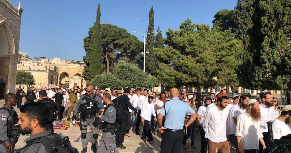 Over 290 fanatic Jewish settlers defile Aqsa Mosque