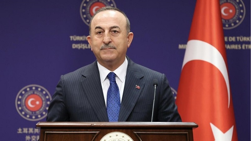 Menlu Turki Bertemu Presiden Jerman, Ini yang Dibahas