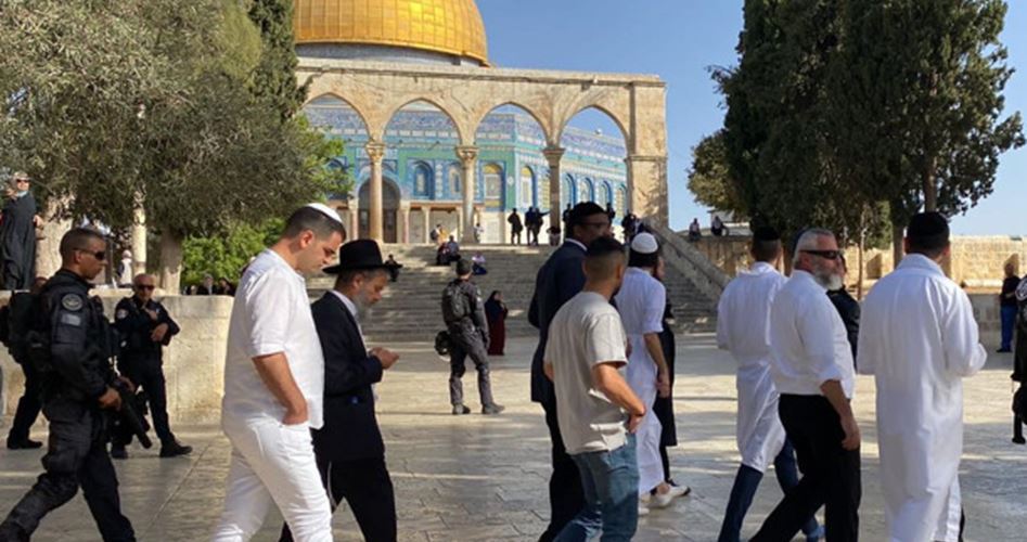 116 extremist Jewish settlers defile Aqsa Mosque