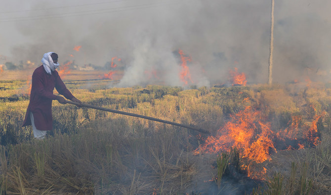 Pakistan: After Shia target killing, Takfiri terrorists started burning crops of Shia landowners