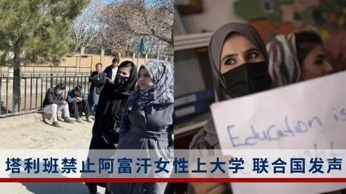 联合国驻阿富汗特使：对阿富汗妇女的限制具有歧视性