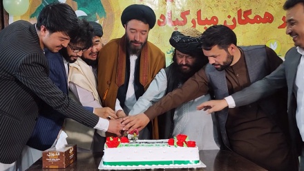 Video: Afghan Muslims celebrate Eid al-Ghadir