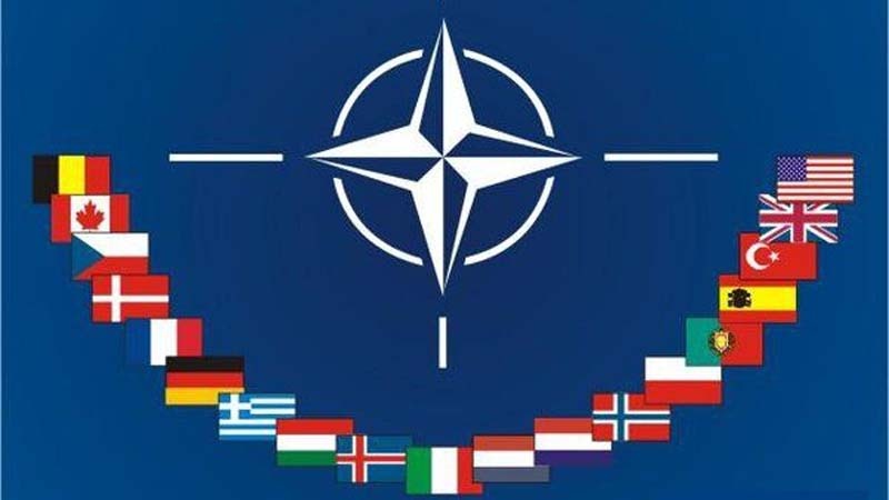 1/3北约成员国反对——