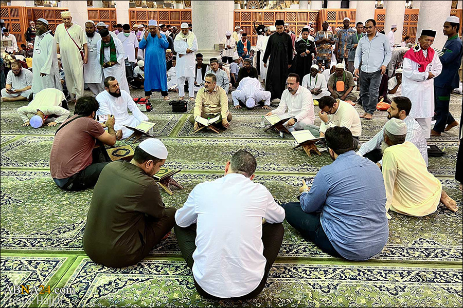 عکس خبری/ تشکیل حلقه های قرآنی ایرانیان در مسجدالنبی(ص)