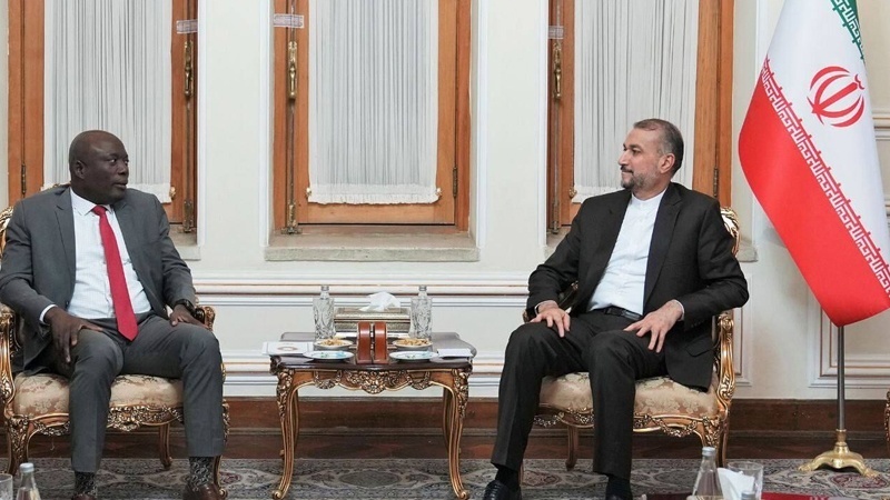 Amir-Abdollahian begrüßte Entwicklung der Beziehungen Irans zu afrikanischen Ländern
