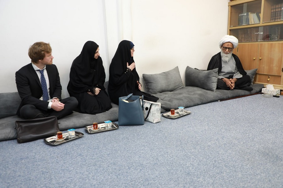 آية الله النجفي يستقبل سفيرة السويد في العراق